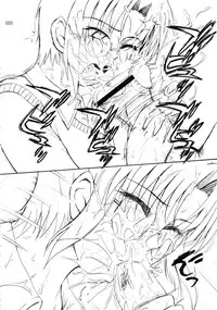 (C78) [MOON RULER (Tsukino Jyogi)] moonruler chronicle .1 (Tsukihime)