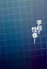 (C94) [OTOMEKIBUN (Sansyoku Amido.)] Gakkou de Seishun! 15 [Chinese] [脸肿汉化组]