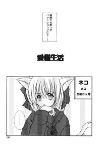 [Ichie Ryouko] Love Connection