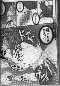 (Reitaisai 11) [e☆ALI-aL! (Ariesu Watanabe)] Touhou Ishokujuu (Touhou Project)