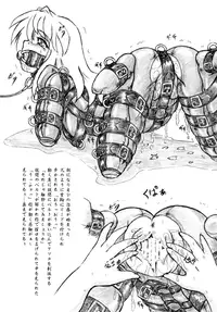 [Sumomo Dou (Sumomo EX)] Seiyoku Shinryousho