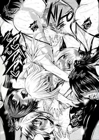 (C85) [Akausagi (Fukuyama Naoto)] ISHR (IS <Infinite Stratos>)