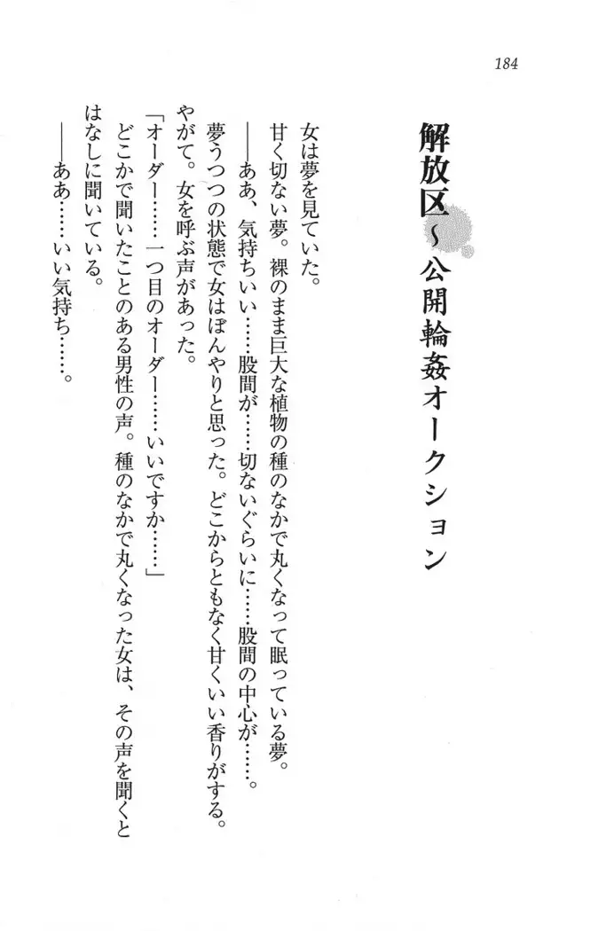 解放区～痴漢ハーレム