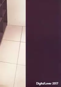 (SC2017 Winter) [Digital Lover (Nakajima Yuka)] DLO-01 Kare to no Yakusoku