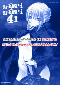 [Alemateorema (Kobayashi Youkoh)] GARIGARI 41 (Fate/stay night) [English] [darknight]