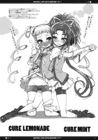 (C79) [life & Digital Flyer (Haga Yui & Ohta Yuuichi)] DIGITAL LIFE 2010 WINTER ff (Precure Series)