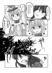 [Kakutei Daisangen] Glorie・Ritter Unlimited (Lord of Vermilion II) [Digital]