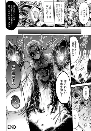 Fallen Fantasy ―堕ちたる幻想―