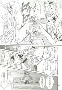 (C73) [PLUM (Kanna)] Mahou Shoujo Magical SEED Soushuuhen X (Mahou Shoujo Lyrical Nanoha)