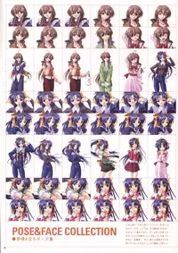 Natural 2 Duo Visual Fan Book