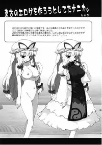 (Reitaisai 10) [Dr.VERMILION (Petenshi)] Meikai Inkou -Adehada Kirokuchou- (Touhou Project)