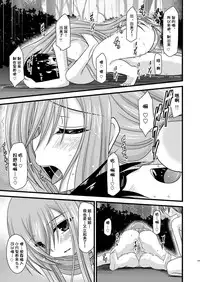 (COMIC1☆4) [valssu (Charu)] Melon ga Chou Shindou! R3 (Tales of the Abyss) [Chinese] [流星汉化]