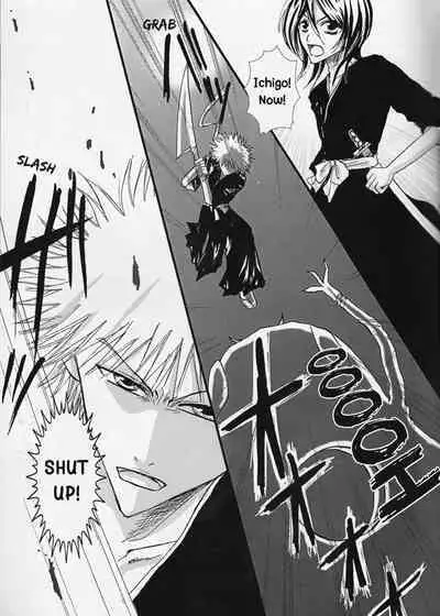 [TRANCEG (Tokugawa Miyo)] Lovers' Soul (Bleach) [English] [EHCOVE]