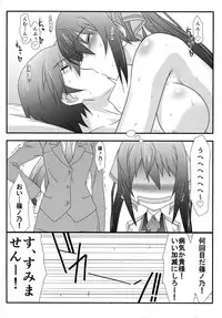 (C85) [STUDIO TRIUMPH (Mutou Keiji)] Astral Bout Ver. 27 (IS <Infinite Stratos>)