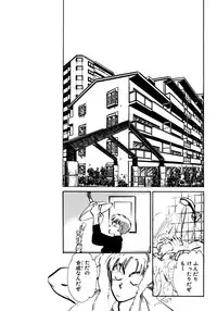 [Shibata Masahiro] Nano Sector