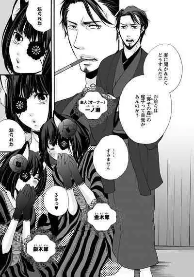 Aigan Neko no Yuuwaku