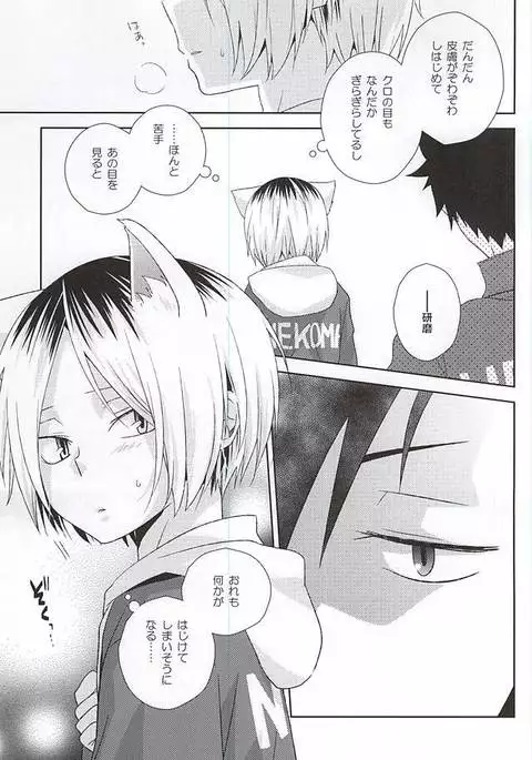 月イチ大感謝毛繕いデー