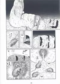 [Gengoroh Tagame][田龟源五郎] Shirogane-no-Hana The Silver Flower vol.2[银之华] [Chinese]