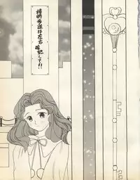 [Anthology] Lunatic Party 8 (Bishoujo Senshi Sailor Moon)