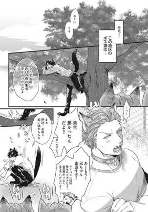 Hatsujou Kemono Biyori