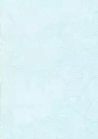 (C77) [Yappari Ao ga Suki (Uni-corn)] Tadashii Hajimete no Nakushikata | How to Lose Your Virginity Correctly (Touhou Project) [English] [A-Trans]