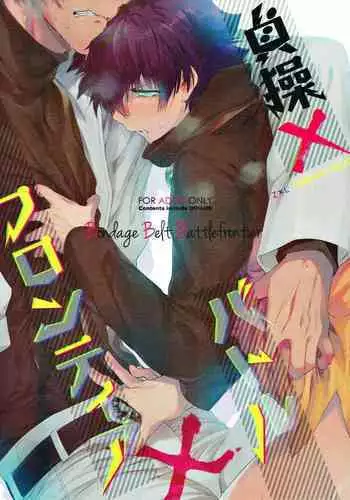 Teisou x Battle Frontie