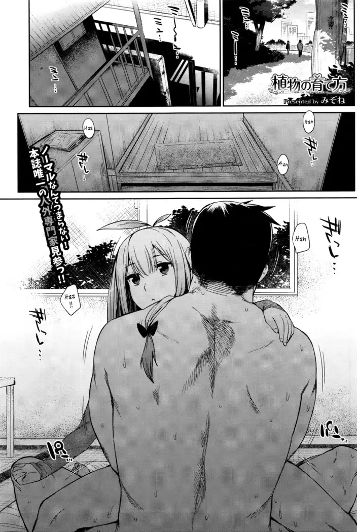 Shokubutsu no Sodatekata | Cómo criar una planta