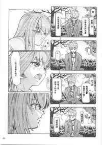 Fate/Final Fantasy(fate/stay night) (chinese)(xxx混合)