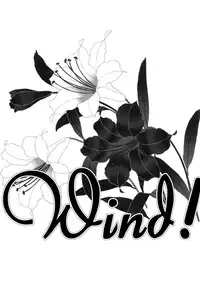 (C84) [Hyakuichi Shiki (Mukunokino Isshiki)] Wind! (Toaru Kagaku no Railgun) [English] [Yuri-ism]