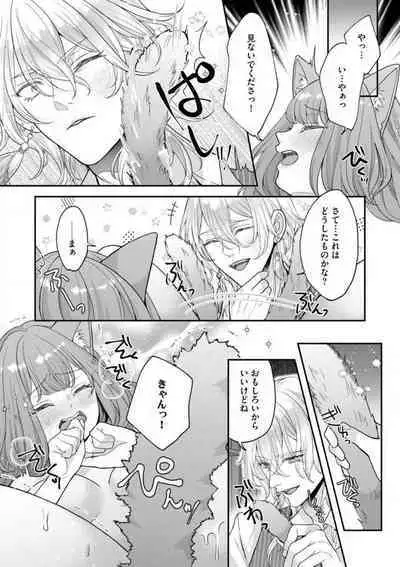 Nene to Ikoku no Mahoutsukai Isekai ni Shoukan Sareta to Omottara, Naze ka Koneko to shite Aigan Saretemasu 1-5