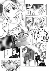 COMIC Papipo 2005-08