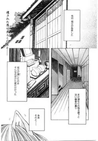 Comic Megastore 2004-07