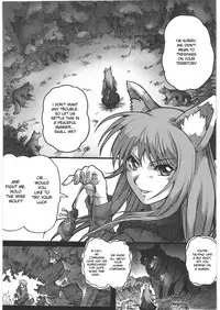 (C76) [Kacchuu Musume (Hisahiko, Shimamoto Harumi)] Smalt Leather (Spice and Wolf) [English] [desudesu]