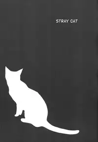 (C84) [Tokuda (Ueda Yuu)] Noraneko | Stray Cat [English] [Shotachan Translations]