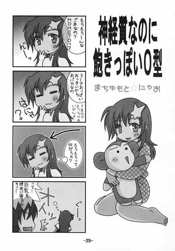 Gundam Seed Destiny - Hoheto 32