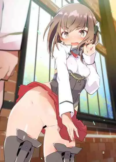 Junsui Gisou Seinou Shiken Ninmu Kai