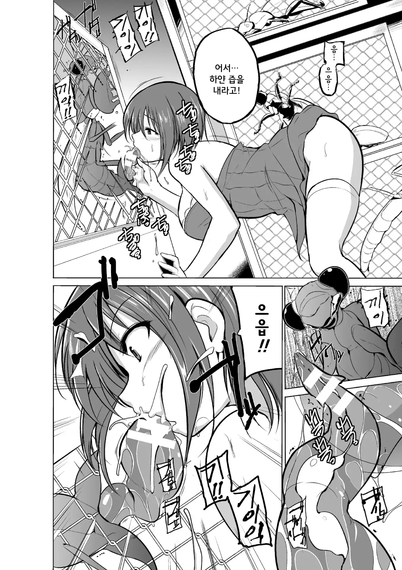 Mushi Asobi | 벌레유희