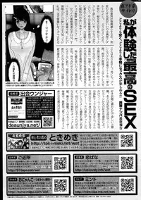 COMIC Shitsurakuten 2012-11