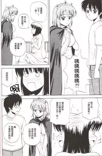 (C73) [G-SCAN CORP. (Satou Chagashi)] Le beau maitre 3 (Zero no Tsukaima) [Chinese] [最愛路易絲澪漢化組]