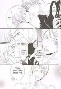 (Sekai Kaigi 2) [FIZZCODE (Satoh Nishiki)] AnotherDark (Axis Powers Hetalia) [English]