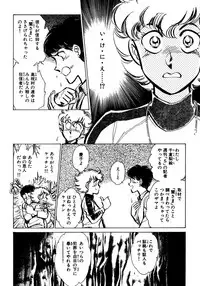 [Shibata Masahiro] Nano Sector