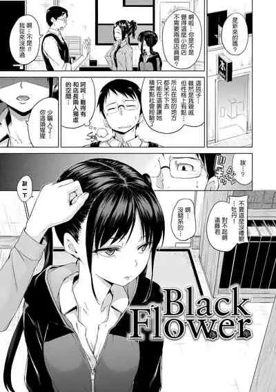 ​[Hamao] Kira Kira [Chinese] [酒歌重嵌]