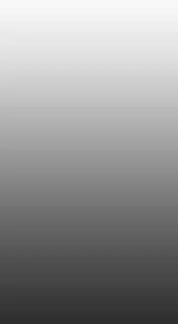 姐妹丼饭 Sister rice Chinese Rsiky