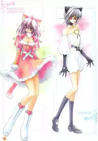 [Amaori Tatsuki] PRETTY CAT'S SHOW TIME