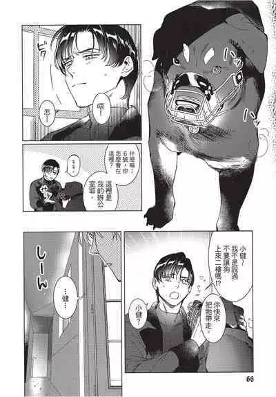 Chihireru Kubiwa | 碎裂的项圈