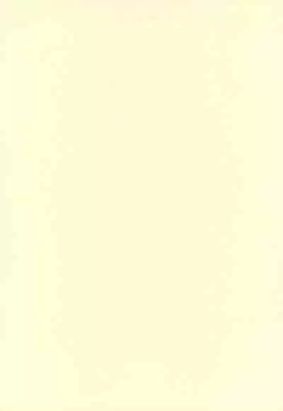 (C68) [PalePink! (Sakurabe Notos)] Bokuruma TURBO