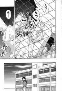 [Anthology] Pure Petit Vol. 23