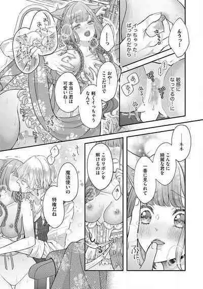 Nene to Ikoku no Mahoutsukai Isekai ni Shoukan Sareta to Omottara, Naze ka Koneko to shite Aigan Saretemasu 1-5