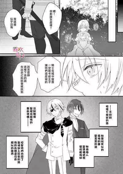 Dekiai Kei Yandere Kyoudai Ouji wa Itoshi no Shinkan Mazoku Ochi Sasetai | 溺愛係病嬌王子兄弟想讓心愛的神官墮落成魔族