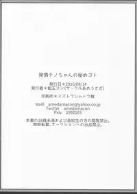 (C90) [Ame Usagi (Amedamacon)] Hatsujou Chino-chan no Himegoto (Gochuumon wa Usagi desu ka?)